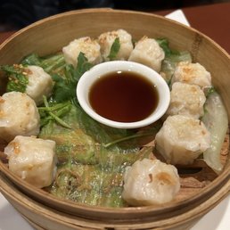 Shrimp, shumai Shrimp, shumai