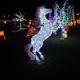 Photo of Woodams Christmas Lights