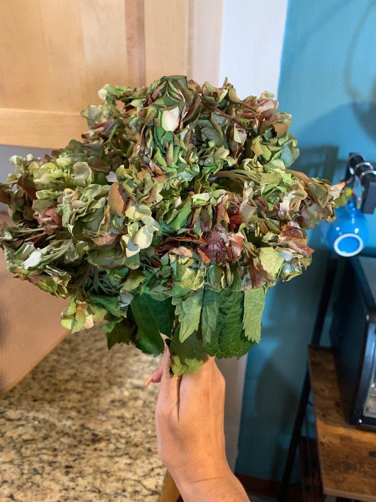 SUTTON FLORIST Updated August 2024 12 Reviews 60 Memorial Hwy