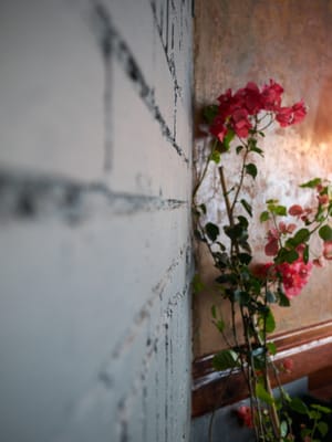 The Rose & Crown by null