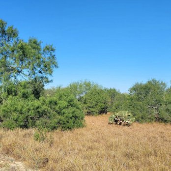 La Sal del Rey Brushline Trail - Native vegetation - Hiking Near Me - TX, Texas