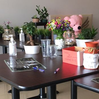 Cow Bubble Tea Cafe - Bubble Tea Near Me - Amherst, New York Cow Bubble Tea Cafe - Bubble Tea Near Me - Amherst, New York