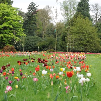 Arboretum Kalmthout - Museums Near Me - Kalmthout, VAN