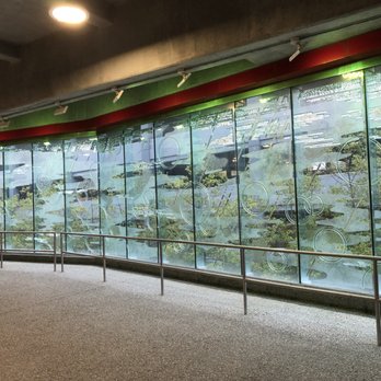 MARTA - Dunwoody Station - Glass artwork that gives a 3-D effect under certain light. - Train Stations Near Me - Atlanta, Georgia MARTA - Dunwoody Station - Glass artwork that gives a 3-D effect under certain light. - Train Stations Near Me - Atlanta, Georgia