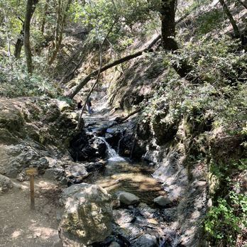 Uvas Canyon County Park - Not much water left in mid May - Parks Near Me - Morgan Hill, California