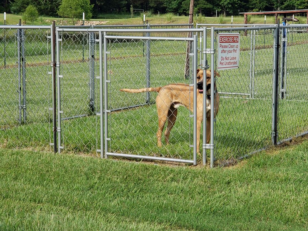 RV CORRAL Updated September 2024 21700 US Hwy 59 N, Queen City