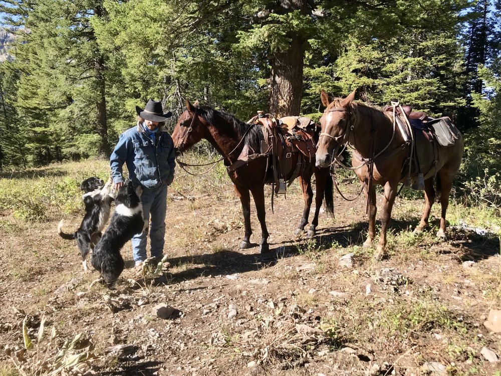 LEIGH CREEK OUTFITTERS Updated September 2024 16 Photos 2055 S
