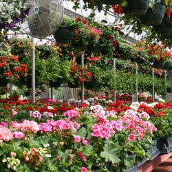 Whitaker Farms