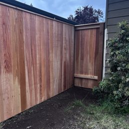 The new fence Cool cat installed