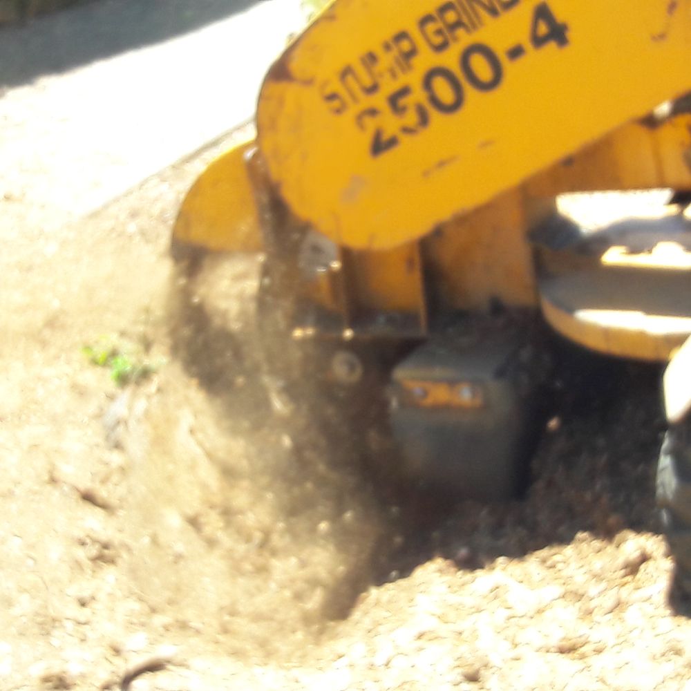 Torres Tree Service - Tree Services Near Me - San Jose, California