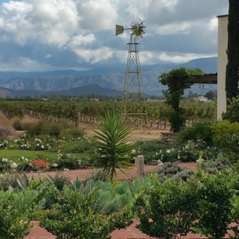 Grapeline Wine Tours - Ponte Vineyard - Wine Tours Near Me - Temecula, California Grapeline Wine Tours - Ponte Vineyard - Wine Tours Near Me - Temecula, California
