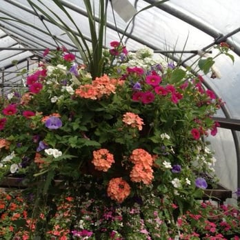 Fritz Farm & Nursery - Nurseries & Gardening Near Me - Joppa, Maryland Fritz Farm & Nursery - Nurseries & Gardening Near Me - Joppa, Maryland