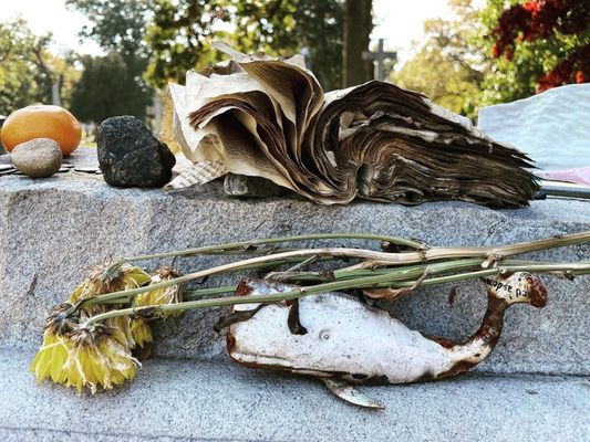 Woodlawn Cemetery • Conservancy by null