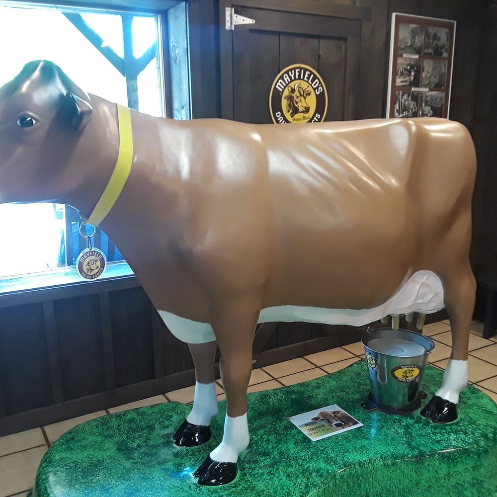 Mayfield Dairy Farms - Ice Cream & Frozen Yogurt Near Me - Athens, Tennessee Mayfield Dairy Farms - Ice Cream & Frozen Yogurt Near Me - Athens, Tennessee