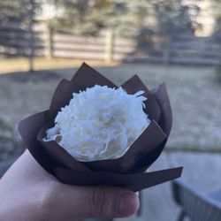 Hilliard Station Baking - Coconut crème cupcake