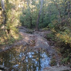 California Woods
