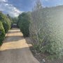 The Gardens of Cranesbury View