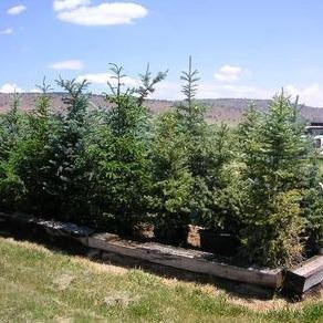 Plantscapes of Oregon by null