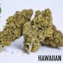 Photo of Five Leaf Wellness