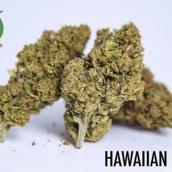 Five Leaf Wellness - Hawaiian haze