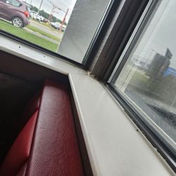 Arby's - Dead flies