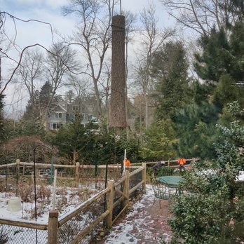 J’s Crew Tree Service - Tree Services Near Me - Lynn, Massachusetts