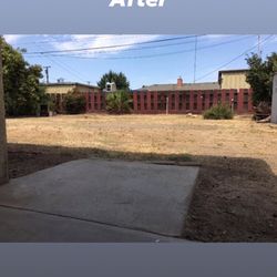 Early Bird Landscaping