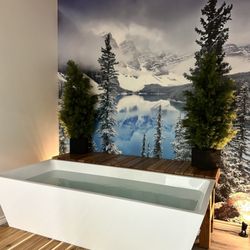 Cold plunge