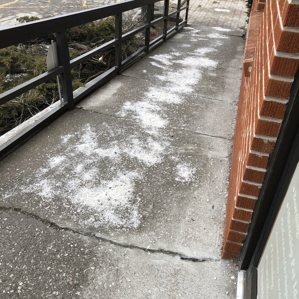 Kafai Veterinary Hospital - Salt that isn't pet safe, smh - Veterinarians Near Me - Thornhill, Ontario Kafai Veterinary Hospital - Salt that isn't pet safe, smh - Veterinarians Near Me - Thornhill, Ontario
