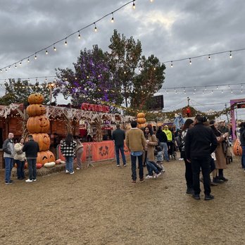 JACK’S PUMPKIN POP-UP - Updated October 2025 - 348 Photos & 163 Reviews