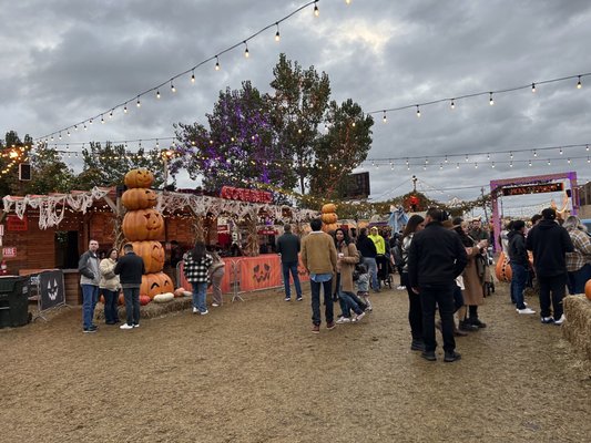 Jack's Pumpkin Pop-up by null