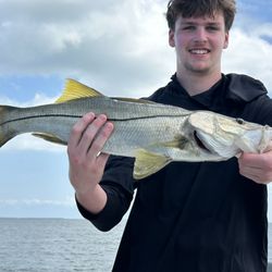 All 4 Chuck Fishing Charters - Snook in Pine Island