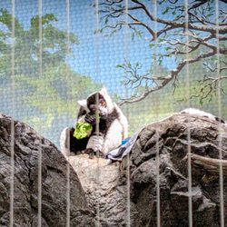 Erie Zoo