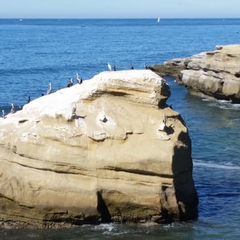 Bird Shit Rock - Local Flavor Near Me - San Diego, California Bird Shit Rock - Local Flavor Near Me - San Diego, California