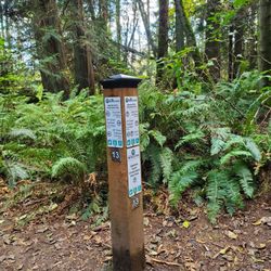 Japanese Gulch Trails and Dog Park - Trail sign