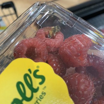 Harris Teeter - Dead bee in berries! - Grocery Near Me - Vienna, Virginia