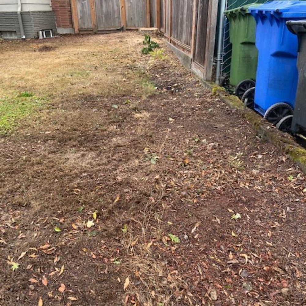Tree North  Tree Service - The broken oak was stumped to the height we wanted, and ugly shrubs cleared without damage to my lilac and peony. - Tree Services Near Me