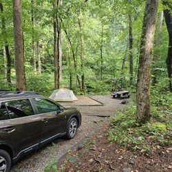 Andrew's Cove Campground - Campsite 8