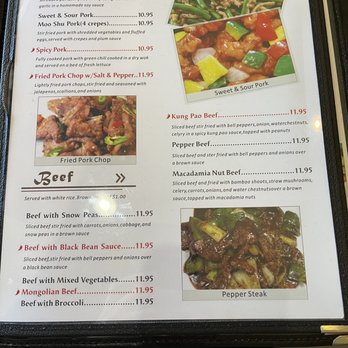 Dragon Bowl - Pork and beef - Chinese Near Me - Phoenix, Arizona Dragon Bowl - Pork and beef - Chinese Near Me - Phoenix, Arizona