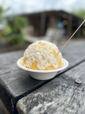 Wishing Well Shave Ice by null