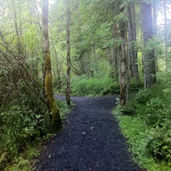 Mt St Helens Visitor Center  - A 1-mile easy trail behind the visitor center - Visitor Centers Near Me - Castle Rock, Washington