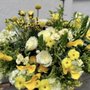 Ojai Flowers