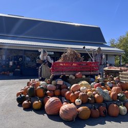 Skelly's Farm Market - Pumpkins at the front of the store