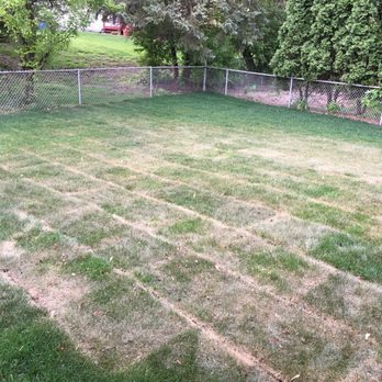 Martys Landscaping - Beware. - Landscaping Near Me - Des Plaines, Illinois Martys Landscaping - Beware. - Landscaping Near Me - Des Plaines, Illinois
