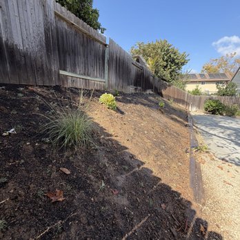 EA Landscaping - Planting and Irrigation Project (Dymondia Ground Cover & 8 Plant Installation) - Lawn Services Near Me - Camarillo, California EA Landscaping - Planting and Irrigation Project (Dymondia Ground Cover & 8 Plant Installation) - Lawn Services Near Me - Camarillo, California