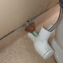 MossRehab Elkins Park - Leaking sink supply valve with rusted pipe covered and mold