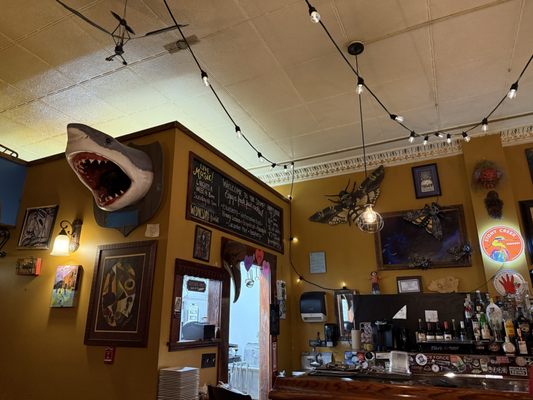 The Stomping Ground by null