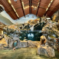 Bass Pro Shop - Huge aquarium