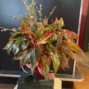 Sonrisa Blooms - Florists Near Me - Albuquerque, New Mexico
