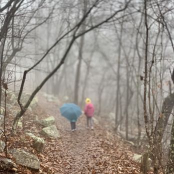 Woodstock Tower - Easy trails - Local Flavor Near Me - Fort Valley, Virginia Woodstock Tower - Easy trails - Local Flavor Near Me - Fort Valley, Virginia